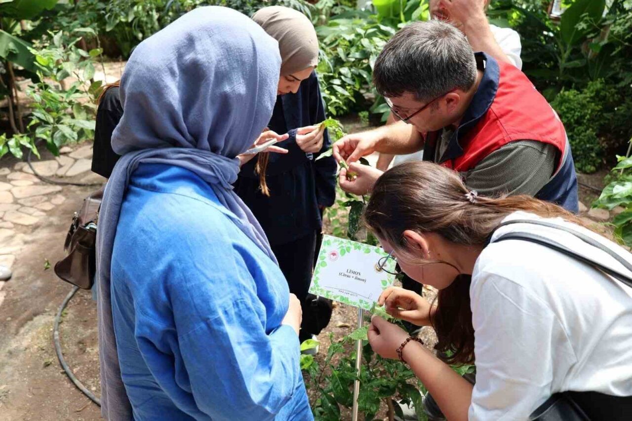 Afyonkarahisar Tıbbi ve Aromatik Bitkiler Merkezi, stajyer öğrenciler için bir