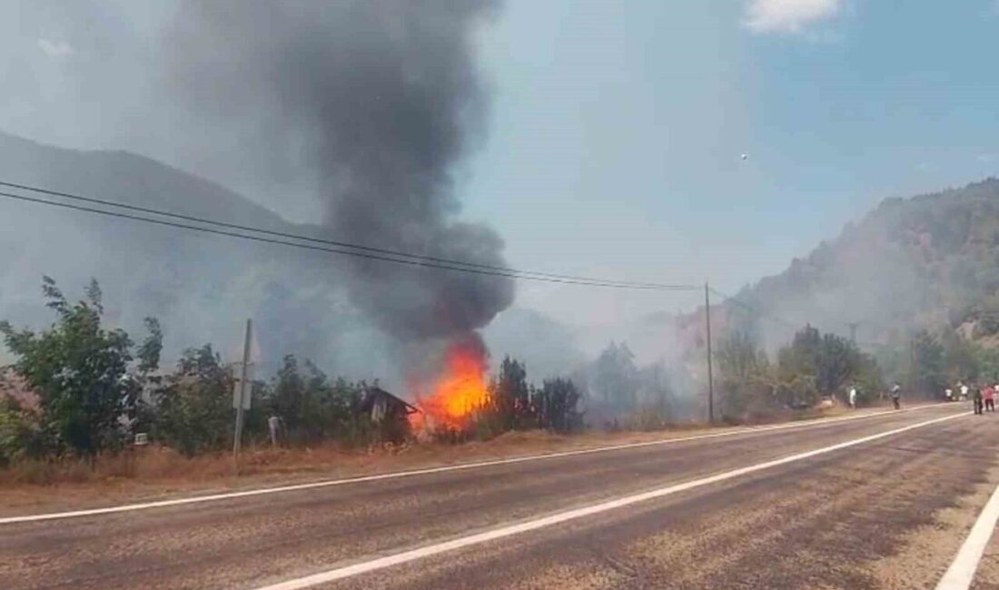 Kastamonu'nun Şenpazar ilçesinde, Kalaycı köyünde bir tarlada başlayan yangın, rüzgarın