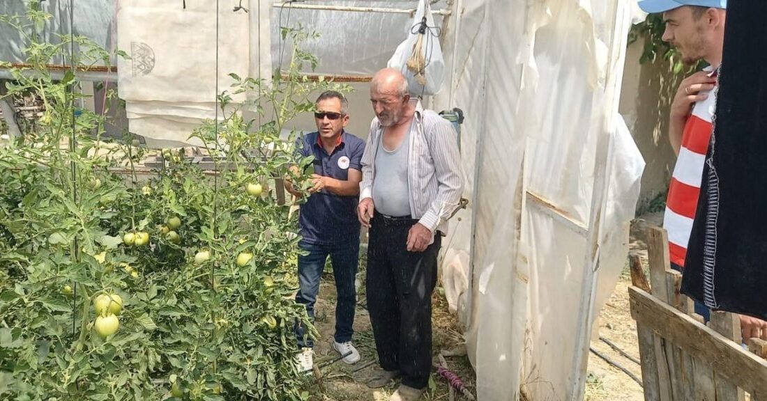 Tavşanlı İlçe Tarım ve Orman Müdürlüğü, İsaköy'deki seralarda bitki hastalık