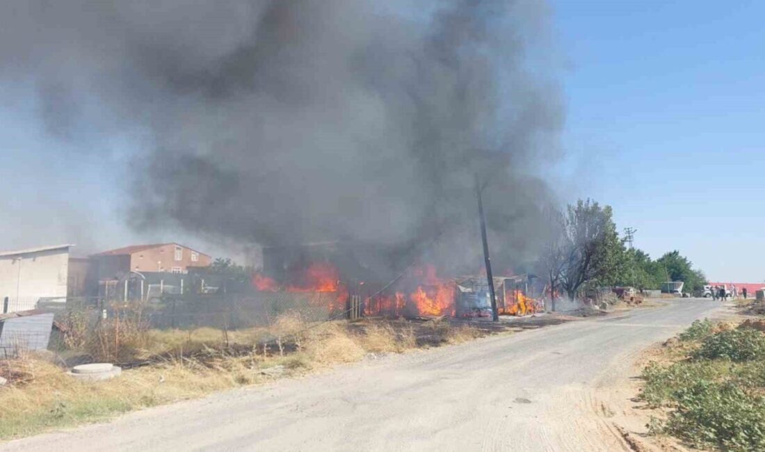 Tekirdağ'ın Ergene ilçesinde, Vakıflar Mahallesi'ndeki bir çiftlikte çıkan yangın, baraka,