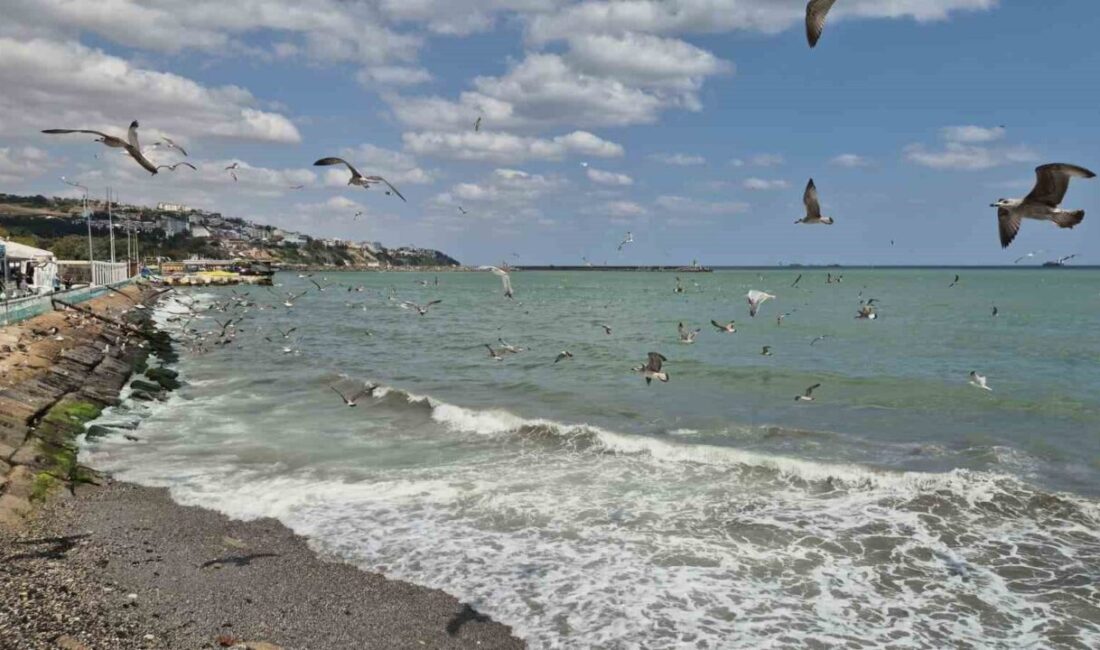 Marmara Denizi'nde etkili olan poyraz, Tekirdağ açıklarında deniz trafiğini olumsuz