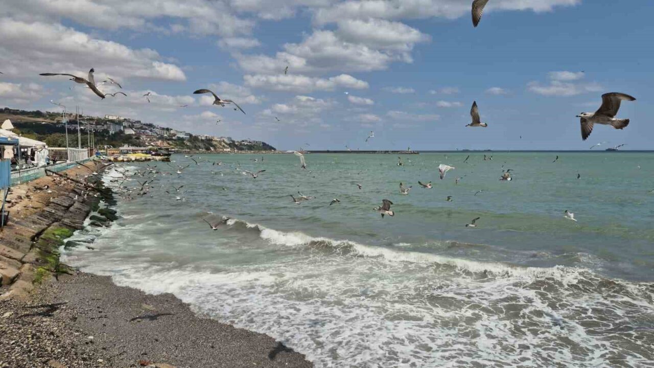 Marmara Denizi'nde etkili olan poyraz, Tekirdağ açıklarında deniz trafiğini olumsuz
