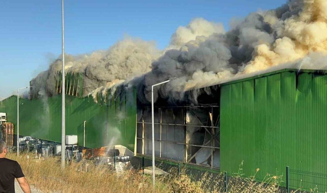 Balıkesir’in Gönen ilçesindeki Teksüt fabrikasında çıkan yangınla ilgili olarak, soruşturma