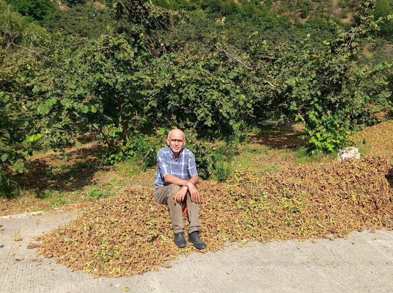 Giresun Ziraat Odası Başkanı Nurittin Karan, Toprak Mahsulleri Ofisi'nin 200