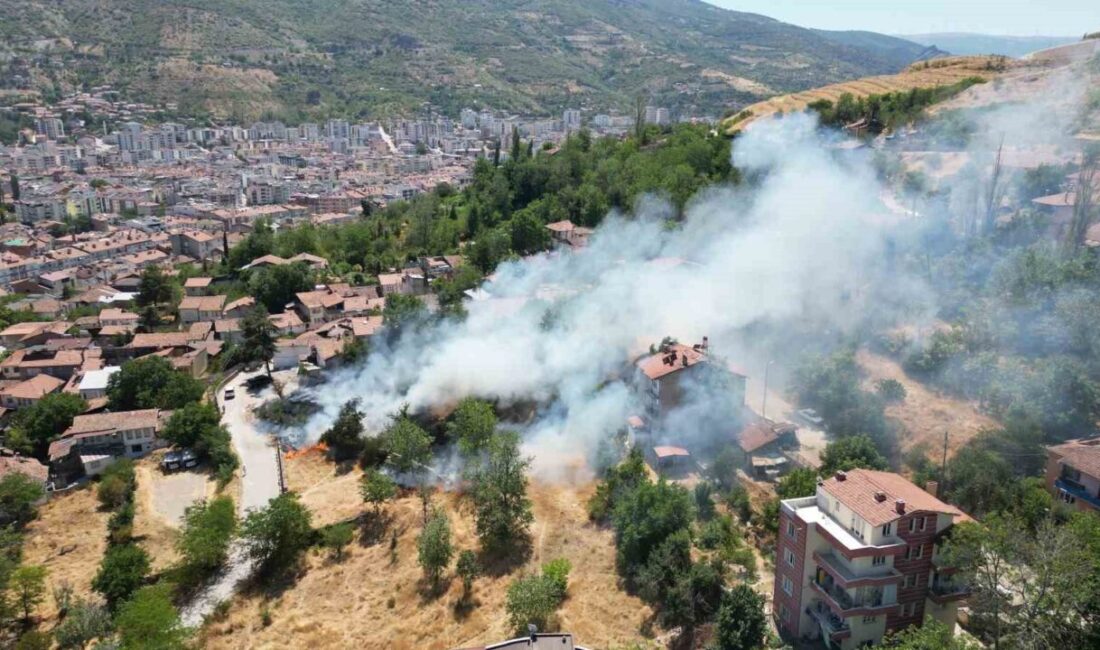 Tokat’ın Hocaahmet Mahallesi'nde boş bir alanda çıkan yangın, vatandaşların ihbarıyla