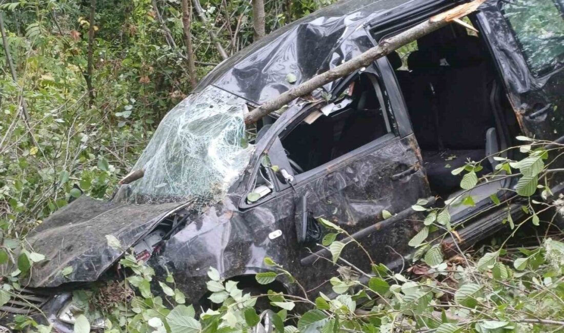 Vakfıkebir ilçesinde meydana gelen trafik kazasında Yüksel Baş hayatını kaybederken,