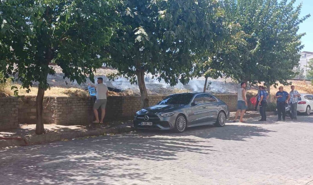 Aydın'ın Efeler ilçesinde, tren yolu kenarında çıkan yangın, vatandaşların ve