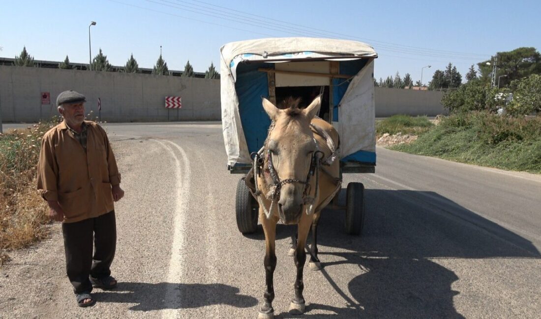 Kilis’in Elbeyli ilçesinde yaşayan 75 yaşındaki Ramazan Doğan, 20 yıldır