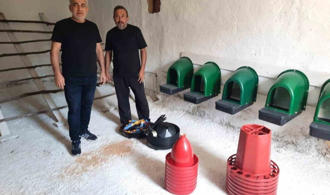 Kocaeli Büyükşehir Belediyesi, "Doğal Salma Yumurta Tavukçuluğu Projesi" ile üreticilere