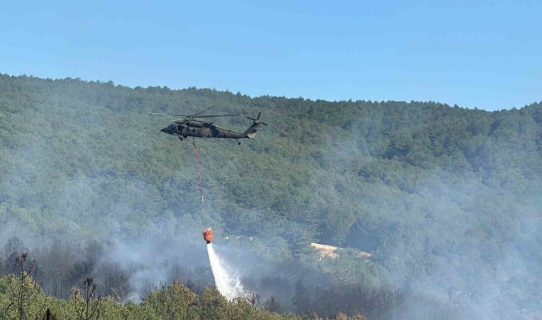 Uşak'ın Banaz ilçesindeki Yenice ve Paşacık köyleri arasında ormanlık alanda