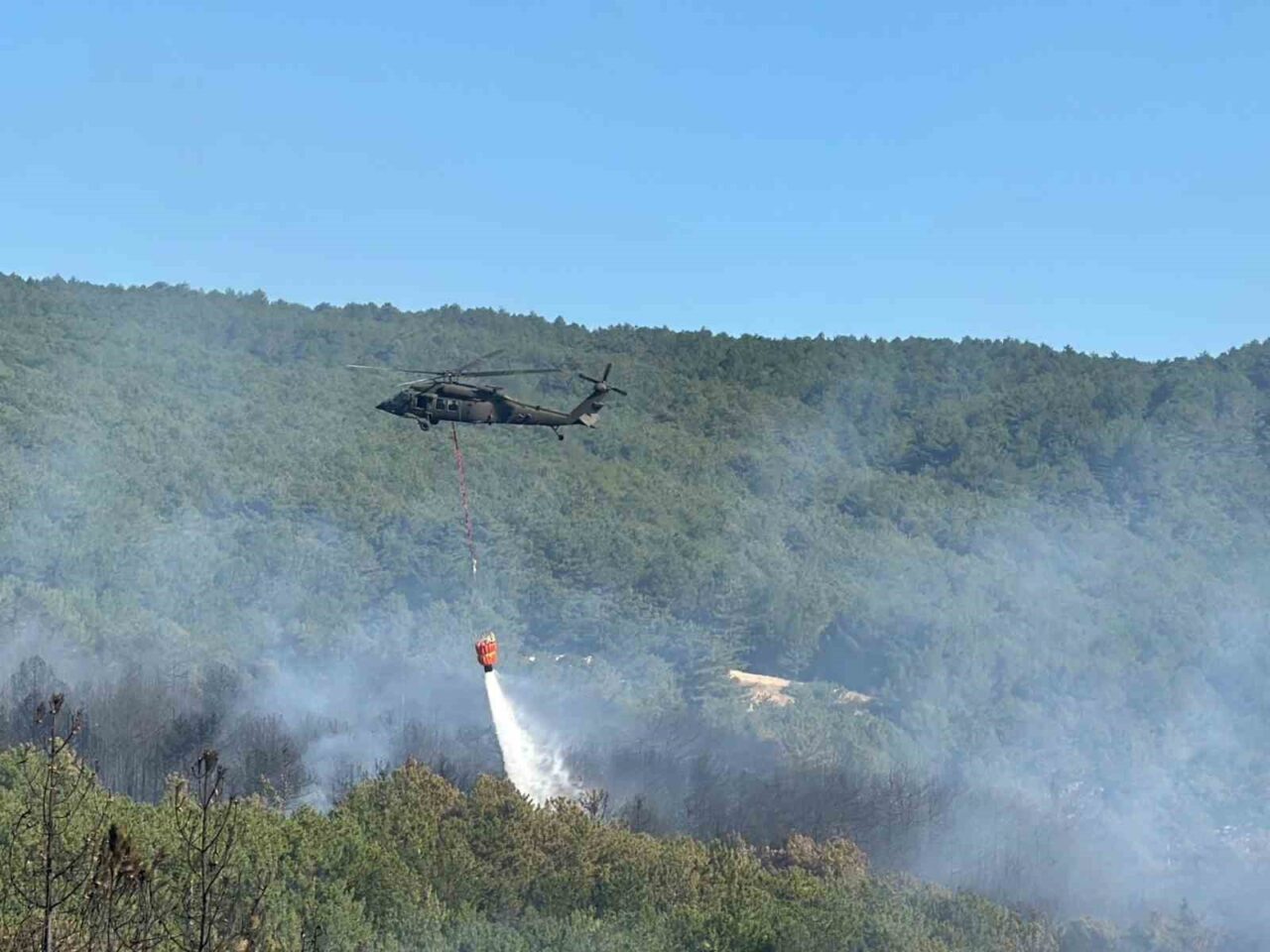 Uşak'ın Banaz ilçesindeki Yenice ve Paşacık köyleri arasında ormanlık alanda