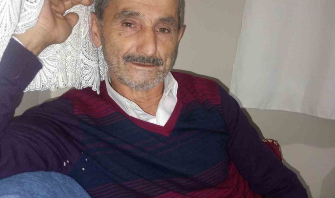 Kastamonu'nun Pınarbaşı ilçesinde, kesim sırasında devrilen ağaç altında kalan 67