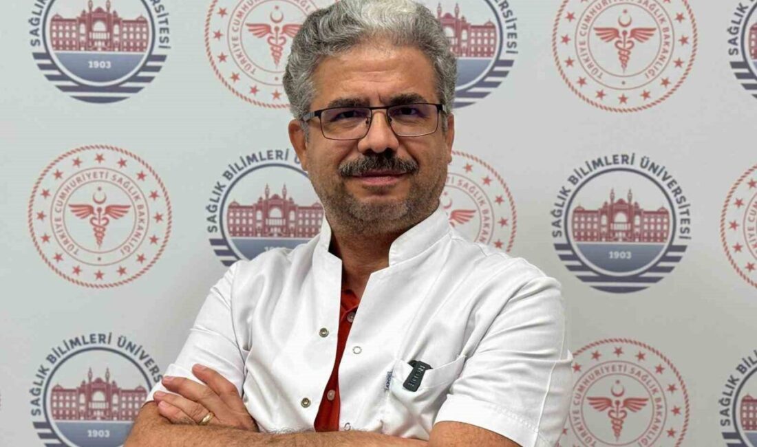 Diyarbakır Gazi Yaşargil Eğitim ve Araştırma Hastanesi'nden Dr. Sinan Bodur,