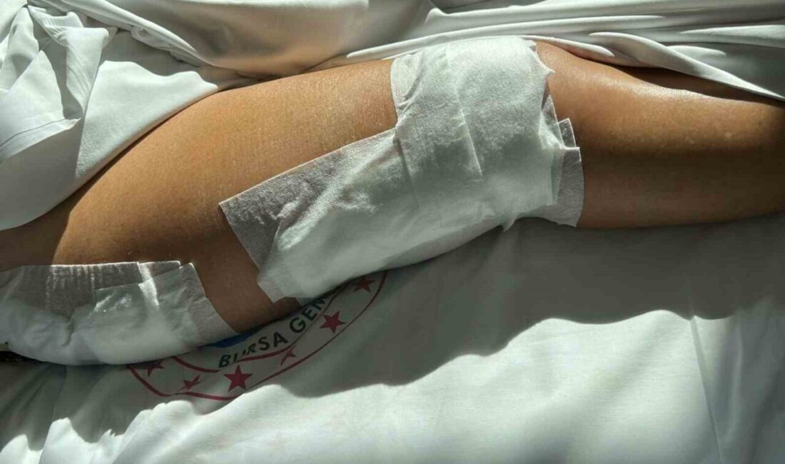 Yalova'nın Armutlu ilçesinde 70 yaşındaki Ayşe Betül Terzioğlu, Kapaklı Mahallesi'nde