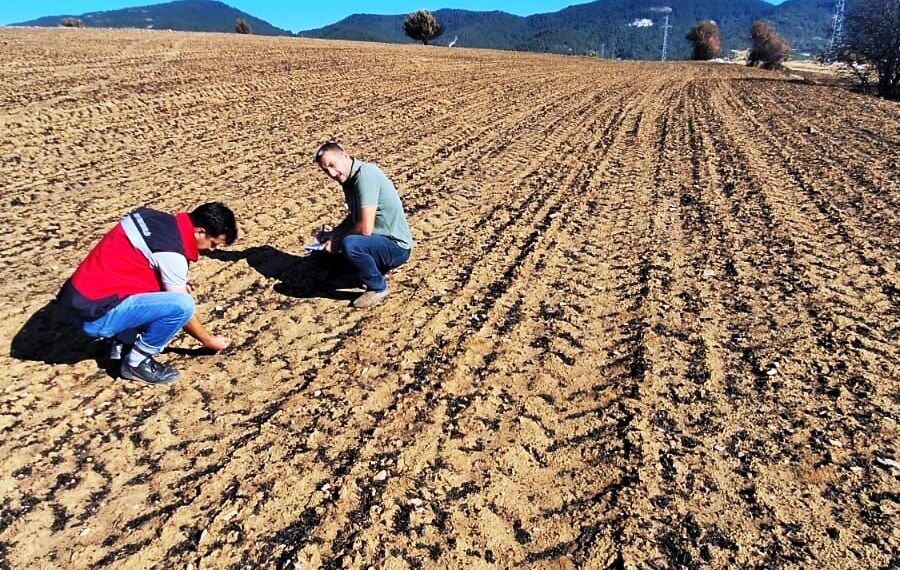 Kütahya'nın Dumlupınar ilçesinde 28 Temmuz 2025'teki yangın sonrası, etkilenen hububat