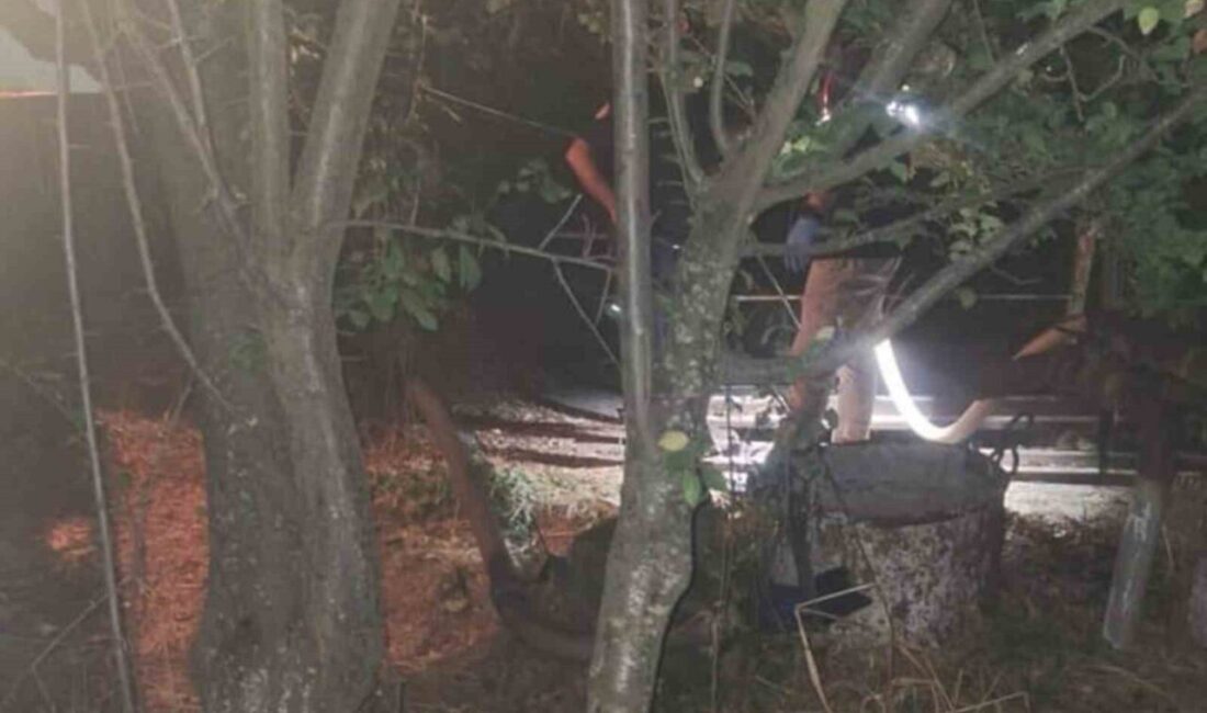 Muğla'nın Menteşe ilçesinde 88 yaşındaki bir kadın, su kuyusuna düşerek