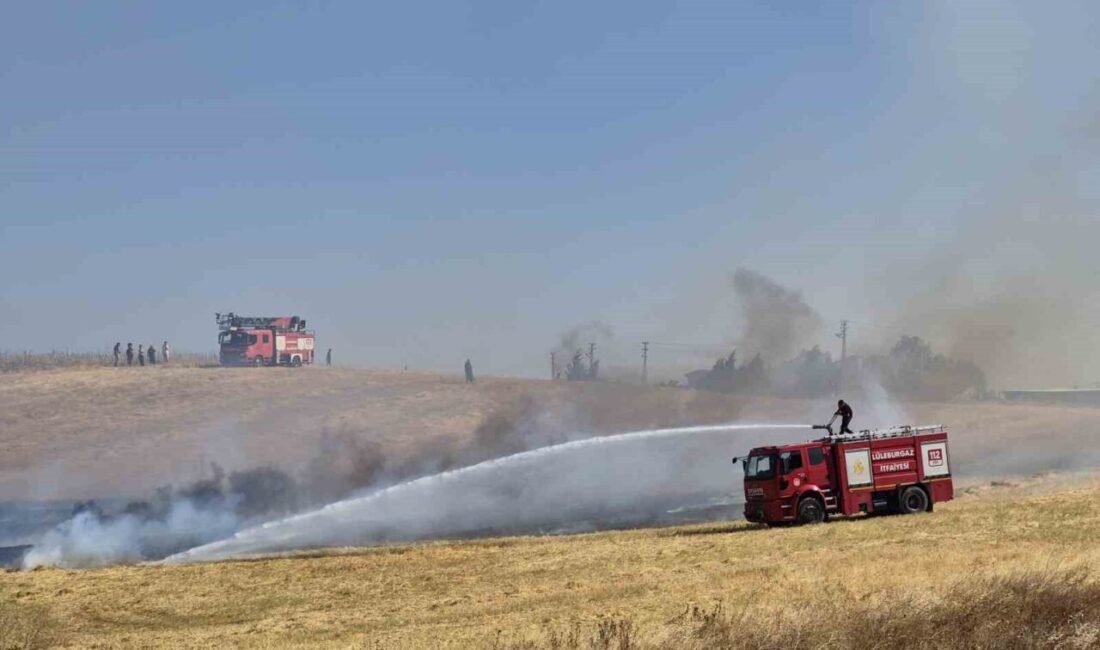 Kırklareli'nin Lüleburgaz ilçesinde, Dere Mahallesi'nde çıkan anız yangını rüzgarın etkisiyle