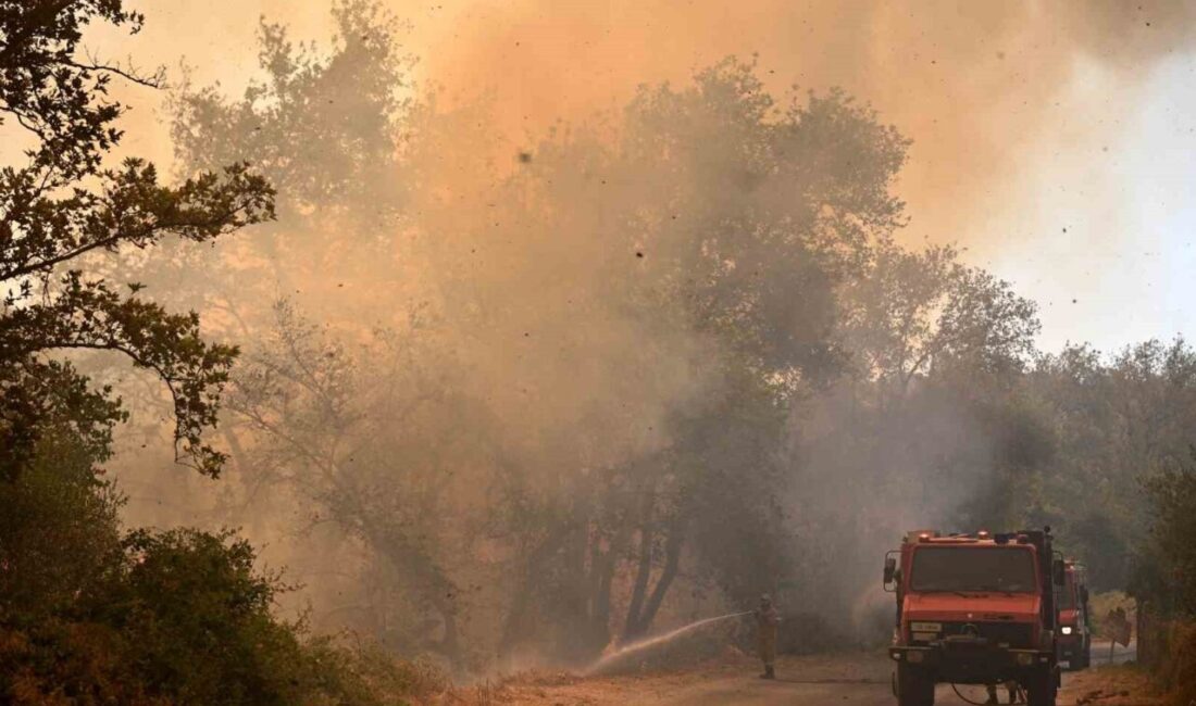 Yunanistan'da devam eden orman yangınları, birçok yerleşimi tehdit ediyor ve