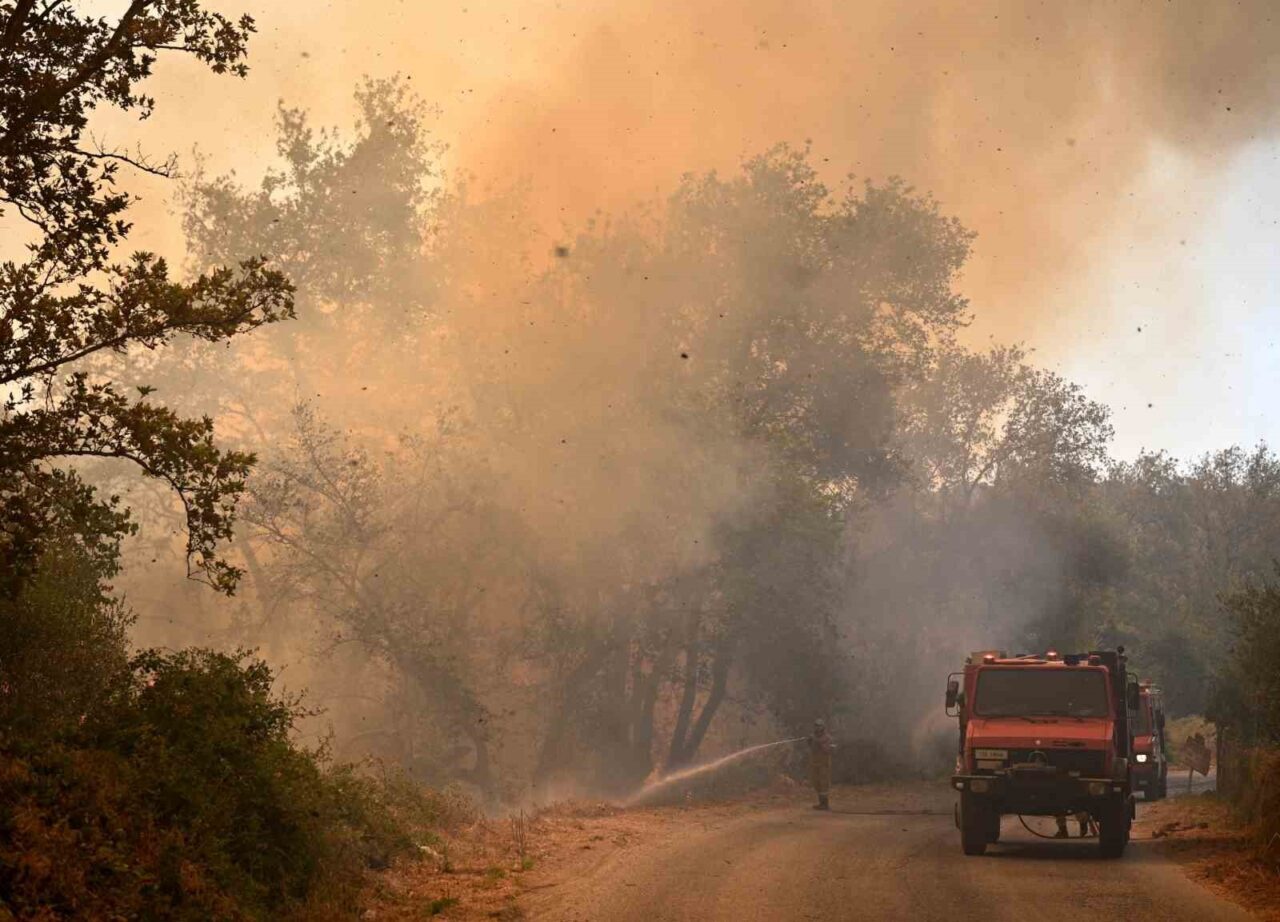 Yunanistan'da devam eden orman yangınları, birçok yerleşimi tehdit ediyor ve