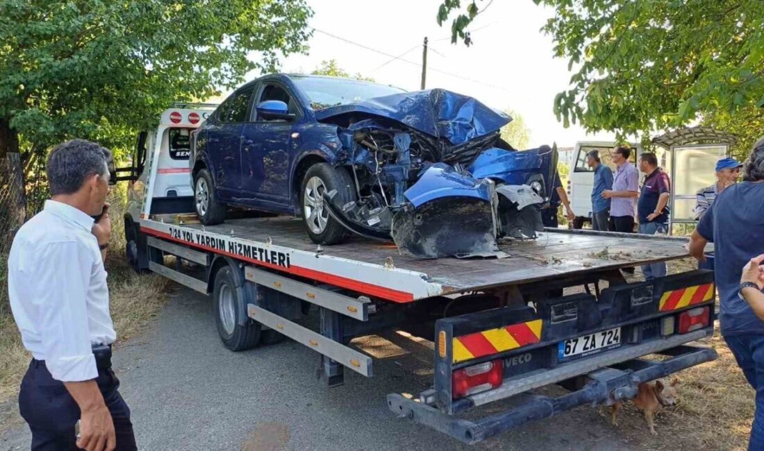 Zonguldak'ın Çaycuma ilçesindeki Kızılbel Köyü'nde Rıza V. idaresindeki otomobil ağaca
