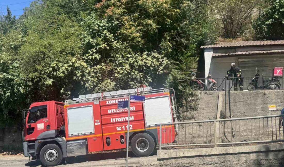 Zonguldak'ın Mithatpaşa Mahallesi'ndeki ormanlık alanda çıkan yangın, hızlı müdahale sayesinde