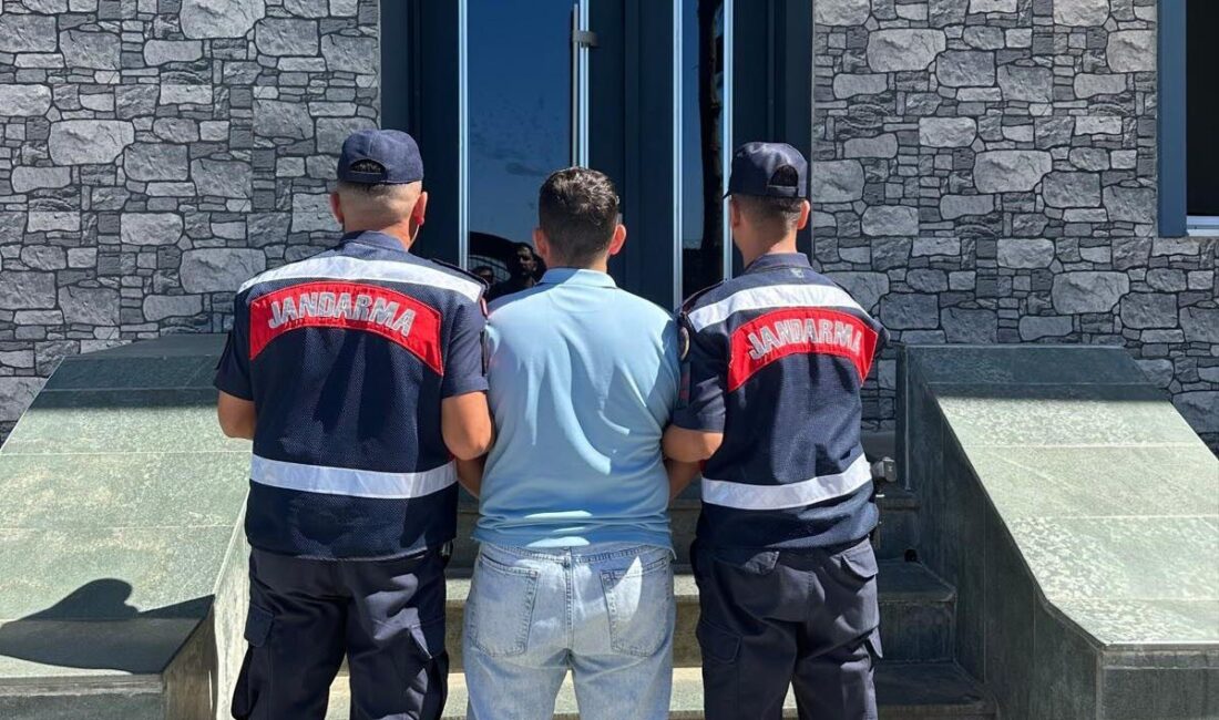 Alanya'da çıkan orman yangınlarıyla ilgili provokatif paylaşımlar yapan 33 yaşındaki