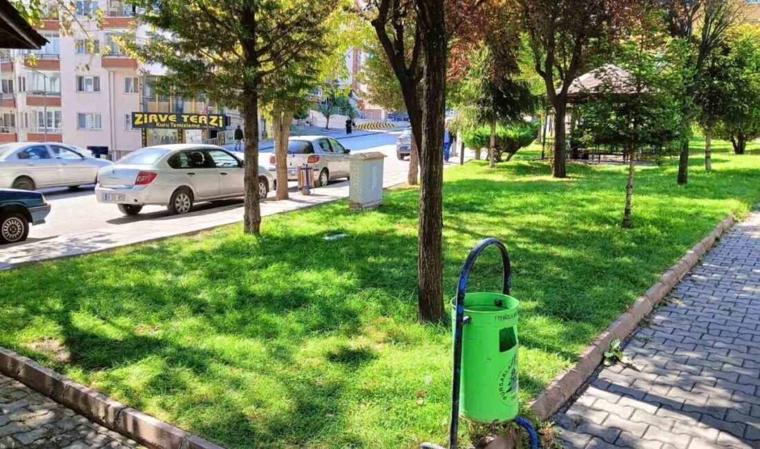 Ankara'nın Pursaklar ilçesindeki bir parkta, 15 yaşındaki Fatih Acacı, yaşıtı