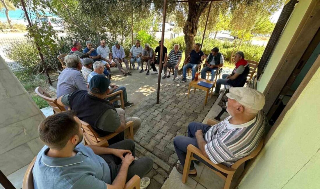 Aydın'da, tarımsal verimliliği artırmak amacıyla düzenlenen 'Çiftçi Bilgilendirme Toplantıları' devam