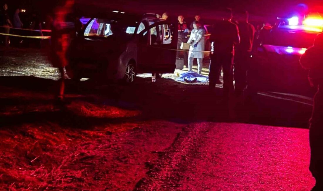 Batman'ın Beşiri ilçesinde, Mehmet Şanlı'nın kullandığı hafif ticari araca yapılan