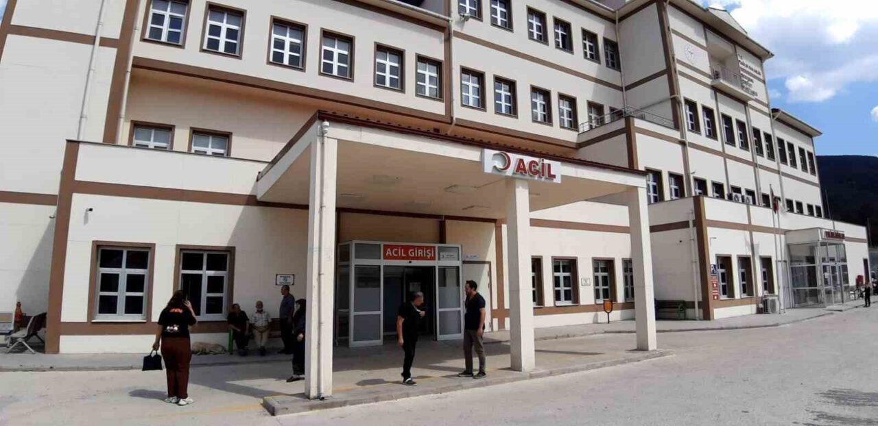 Bolu'nun Taşkesti beldesinde 27 Mayıs'ta Ertan K. isimli bir vatandaş