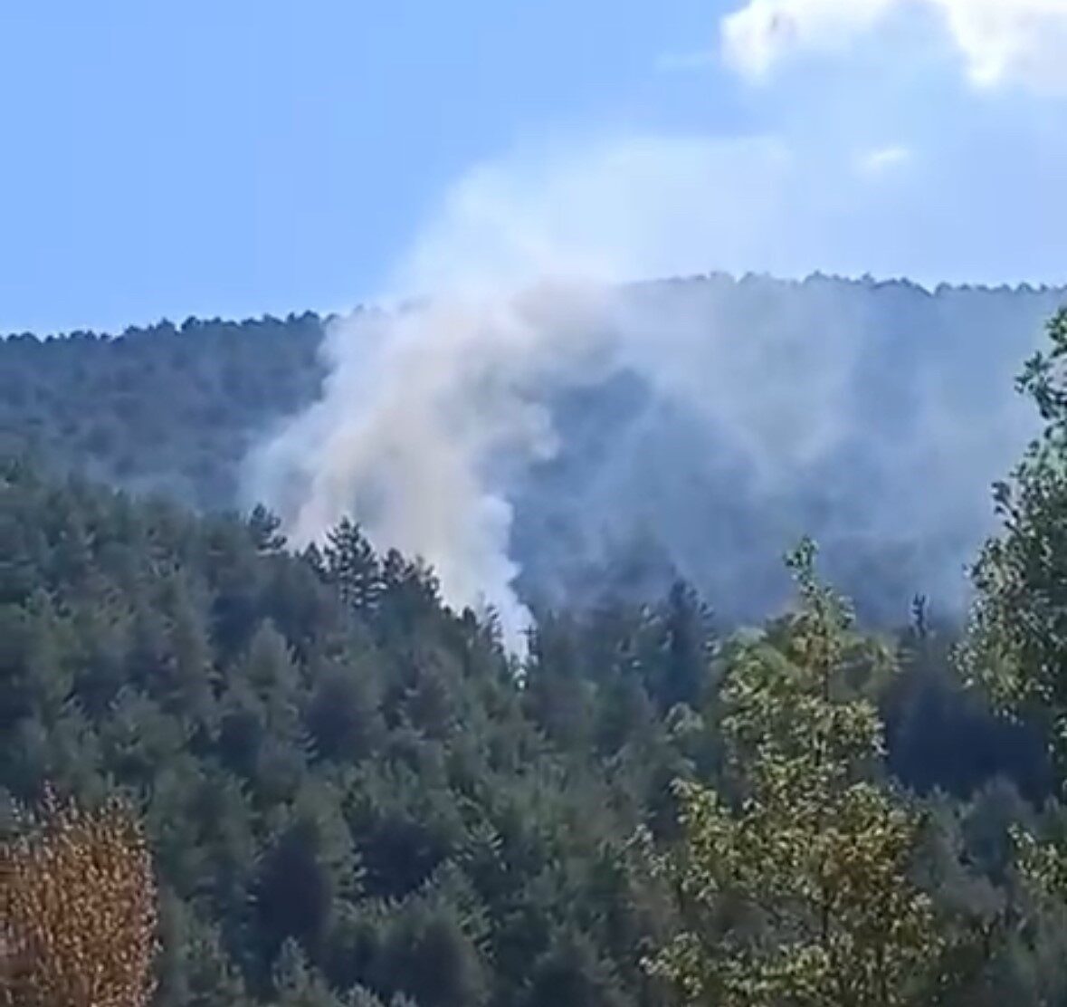 Bolu'nun Küplüce köyünde çıkan orman yangını, çevre halkının ihbarıyla hızla