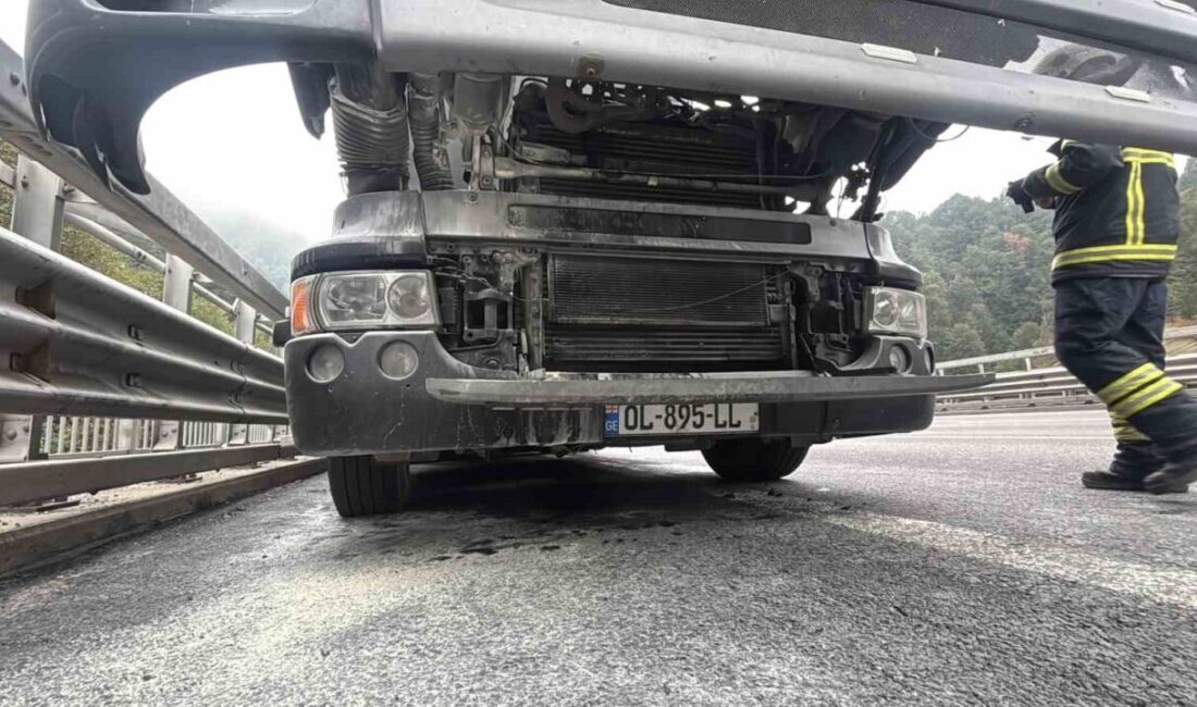 Bolu Dağı Tüneli’nde, Gürcistan uyruklu sürücü Ioseb K. yönetimindeki mobilya