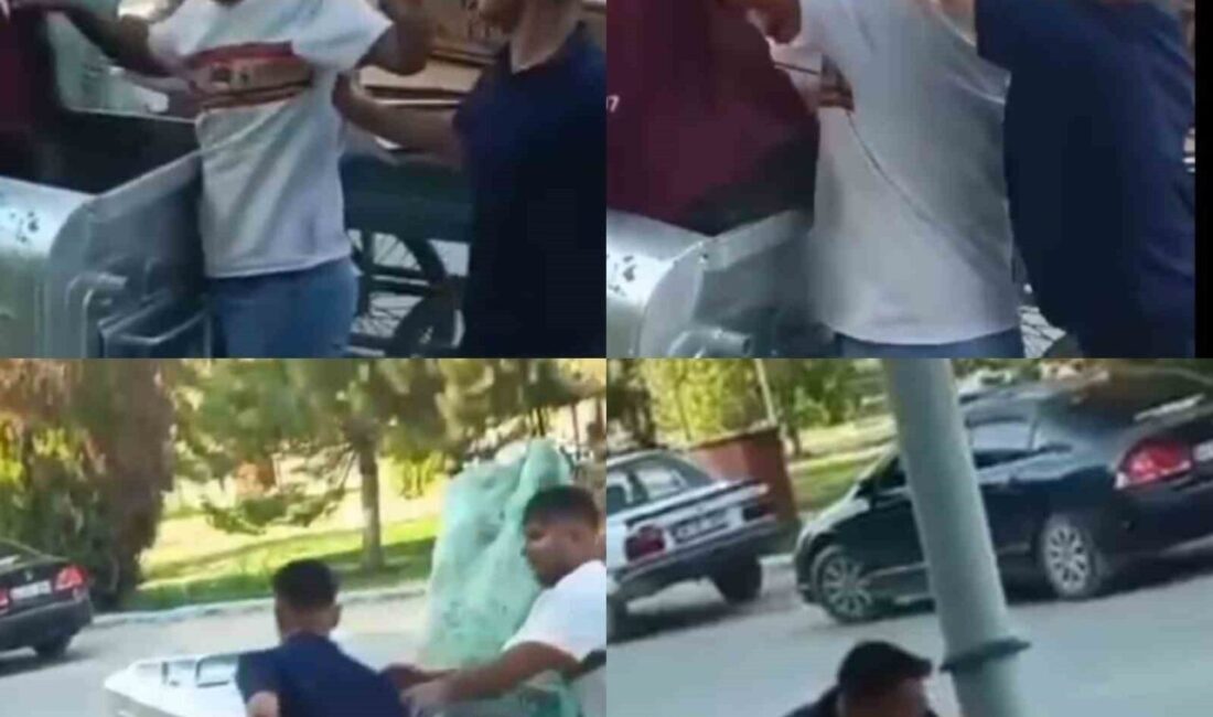 Kahramanmaraş'ın Elbistan ilçesinde, S.A. isimli plastik atık toplayıcısı, O.D. tarafından