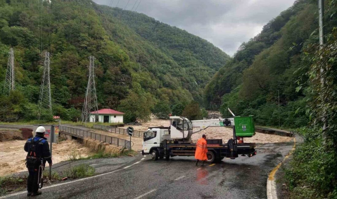 Çoruh EDAŞ, Artvin, Rize ve Trabzon'daki sel felaketi sonrası hasar