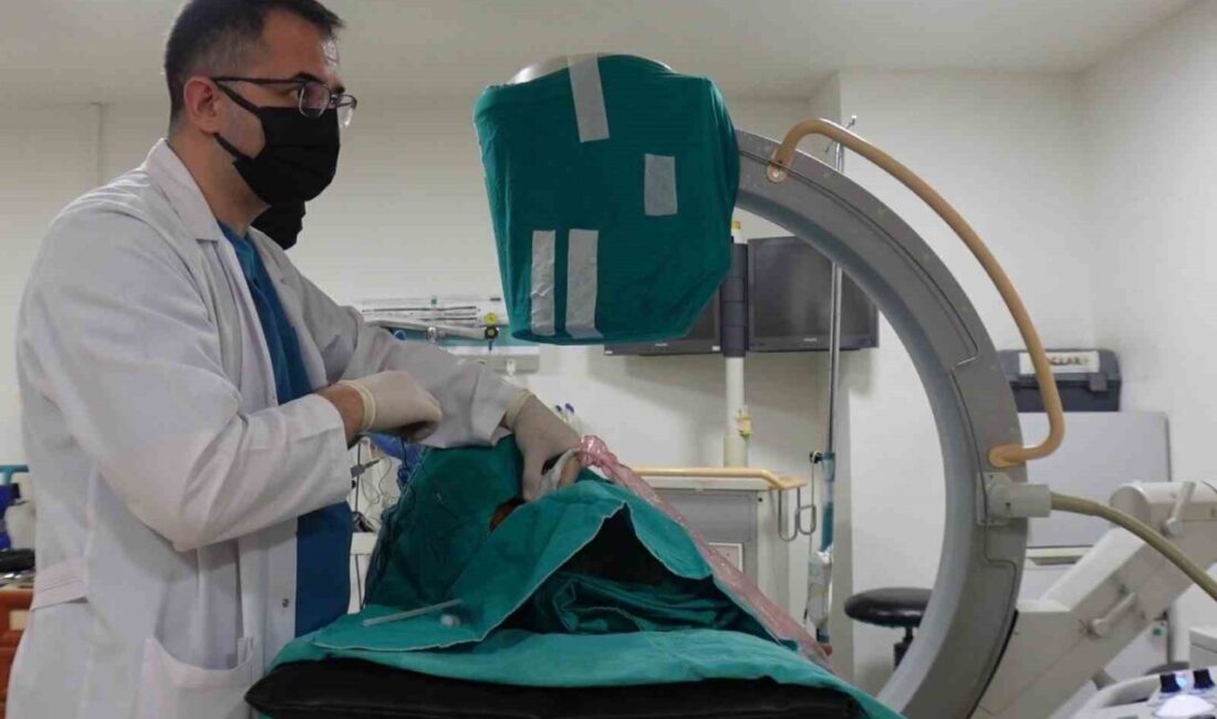 Fırat Üniversitesi Hastanesi'nden Dr. Mustafa Özdemir, algoloji tedavisinin ağrıyı azaltıp