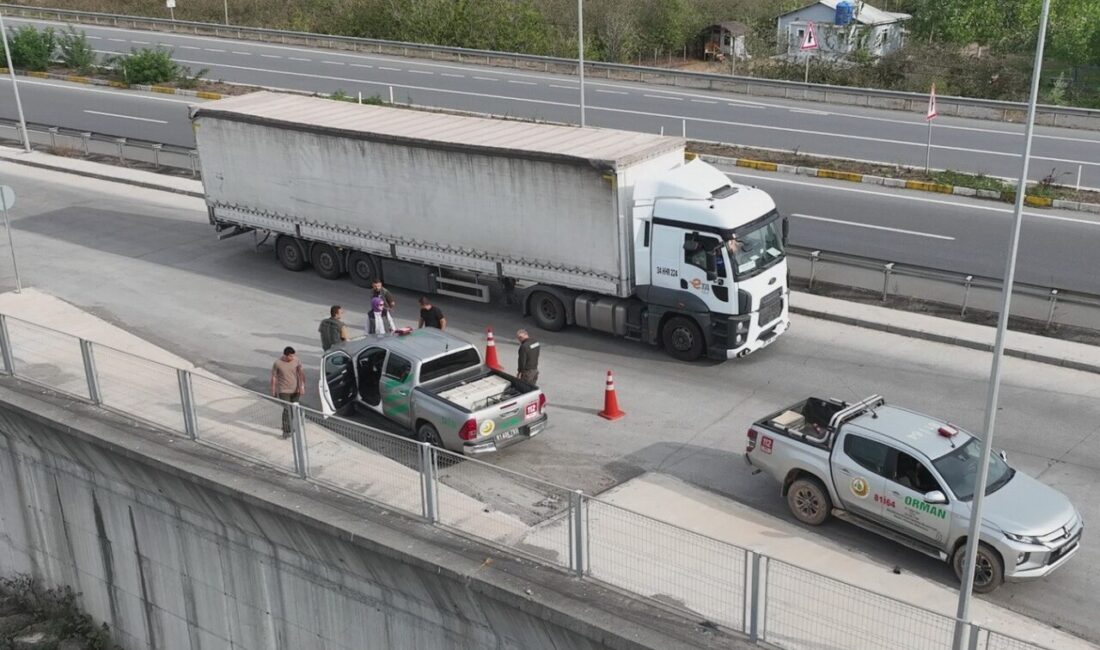 Düzce ve Bolu'da, Bolu Orman Genel Müdürlüğü tarafından toplam 32