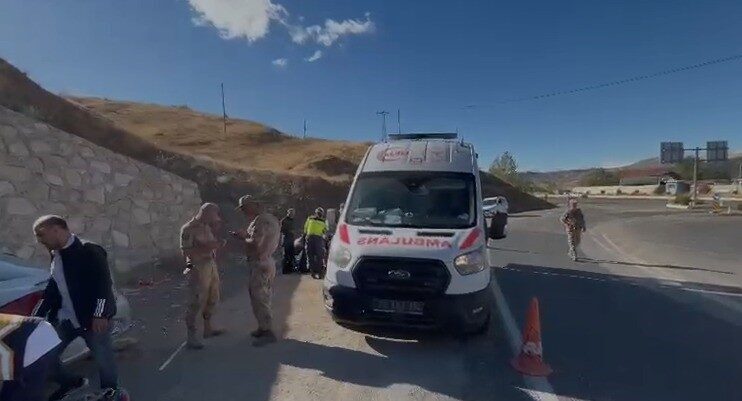 Elazığ-Bingöl Karayolu'nda kontrolsüz şekilde ilerleyen bir otomobil, yol kenarındaki durağa