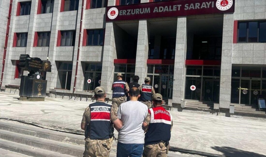 Erzurum'un Palandöken ve Hınıs ilçelerinde sosyal medya üzerinden DEAŞ propagandası