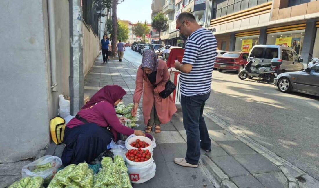 Samsun'un İlkadım ilçesinde köylü kadınlar, bahçelerinde yetiştirdikleri bamyaları şehir merkezinde