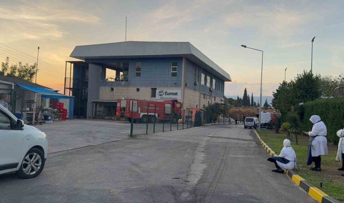 Gemlik Serbest Bölge'deki bir işletmenin yemekhanesinde yangın meydana geldi. Çalışanlar