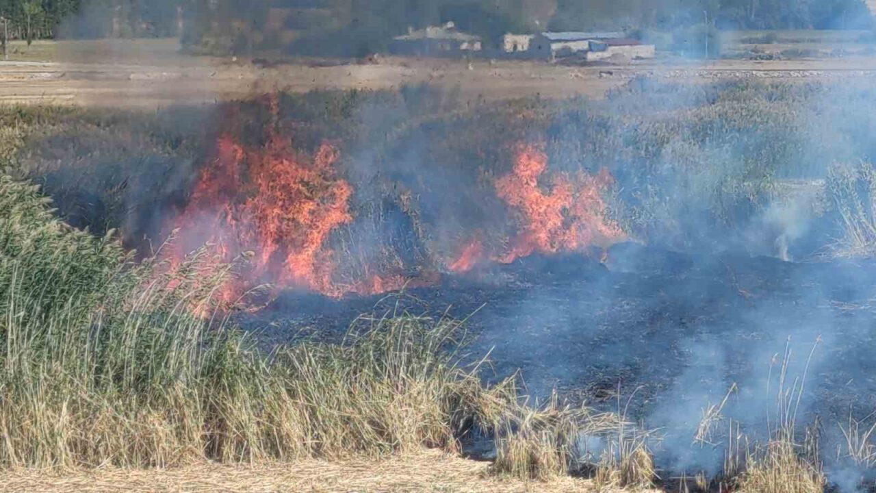 Van'daki Erçek Gölü çevresindeki sazlık alanda çıkan yangın, itfaiye ve
