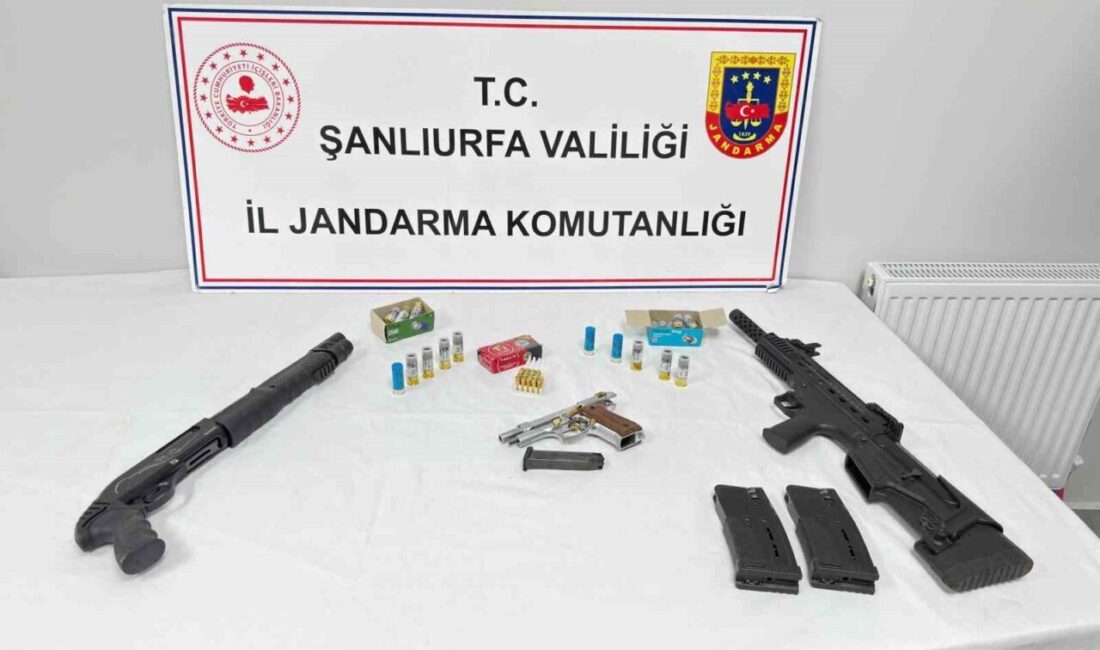 Şanlıurfa'da jandarma tarafından gerçekleştirilen üç günlük operasyonda, 8 kişi gözaltına