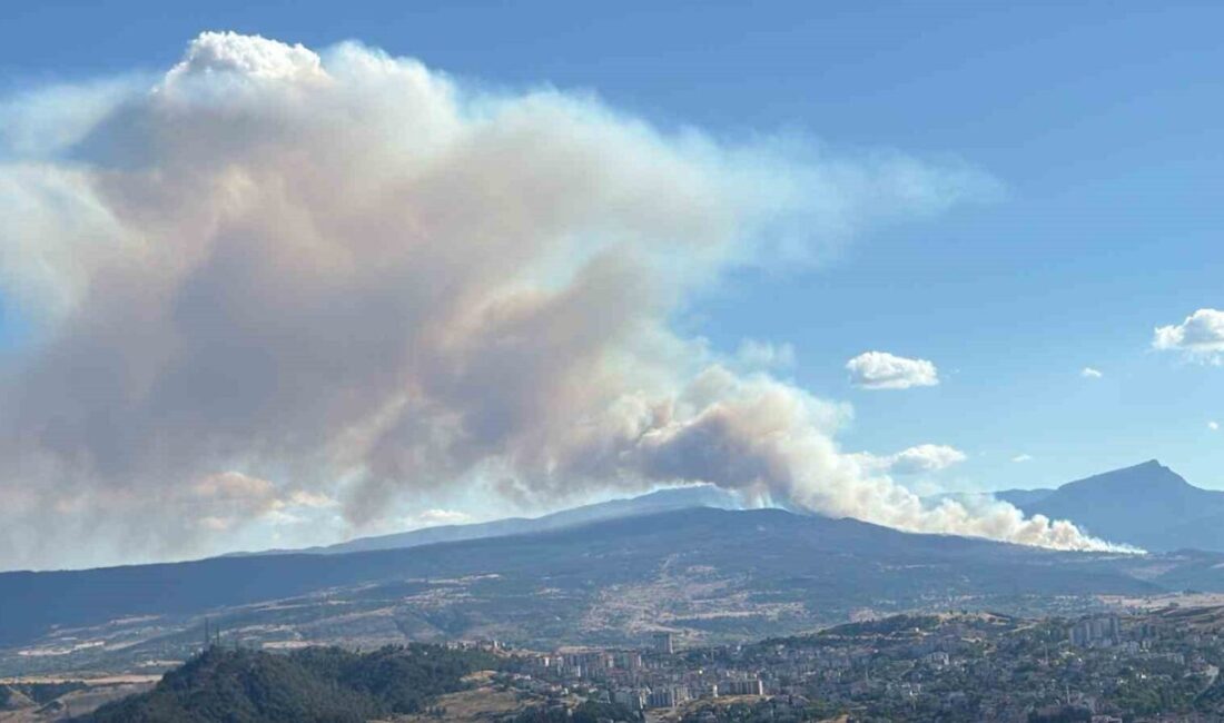 Karabük'ün Kahyalar köyünde yangın meydana geldi. Yangın, Safranbolu'dan Eflani'ye kadar