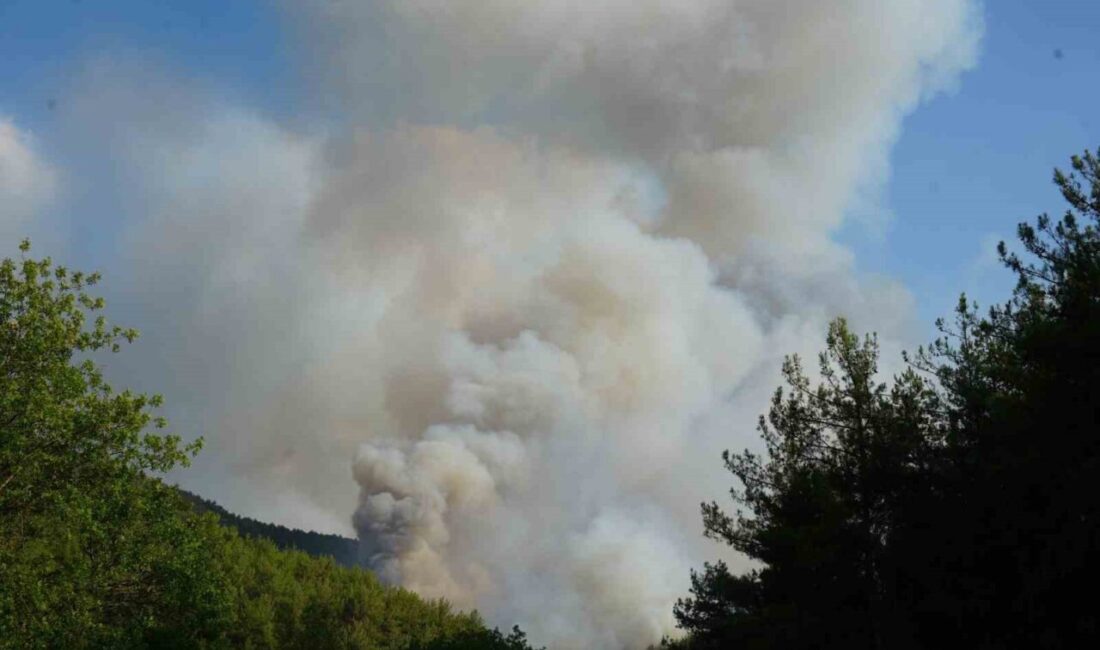 Kastamonu'nun Araç ilçesindeki orman yangını nedeniyle 6 köy tahliye edildi.