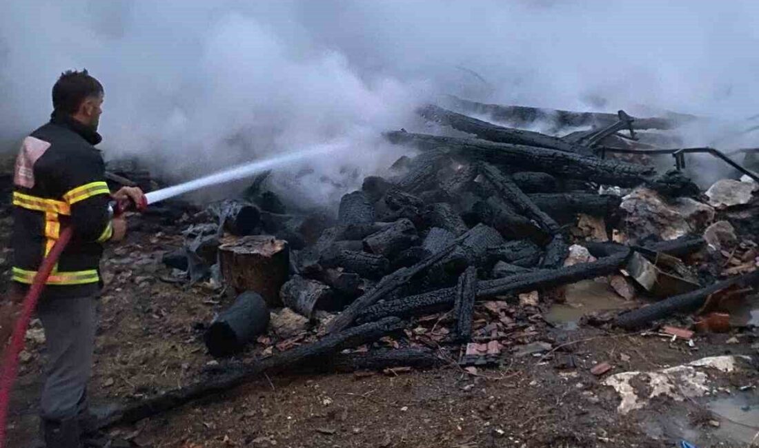 Kastamonu'nun Cide ilçesindeki Çamdibi köyünde Alaettin K.'ye ait evde çıkan