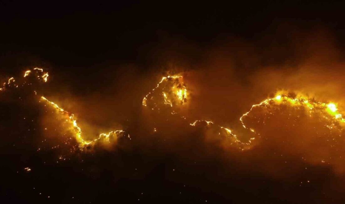 Kastamonu'nun Araç ilçesinde iki ayrı noktada çıkan orman yangınlarına müdahale