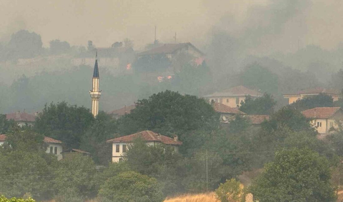 Karabük’teki orman yangını, rüzgarın etkisiyle Kastamonu'nun Araç ilçesine geçti. Güzelce