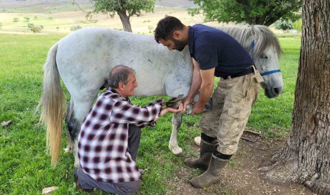 Erzincan’ın Kemaliye ilçesinde yaşayan Sinan Günay, yarım asırlık nalbantlık mesleğini