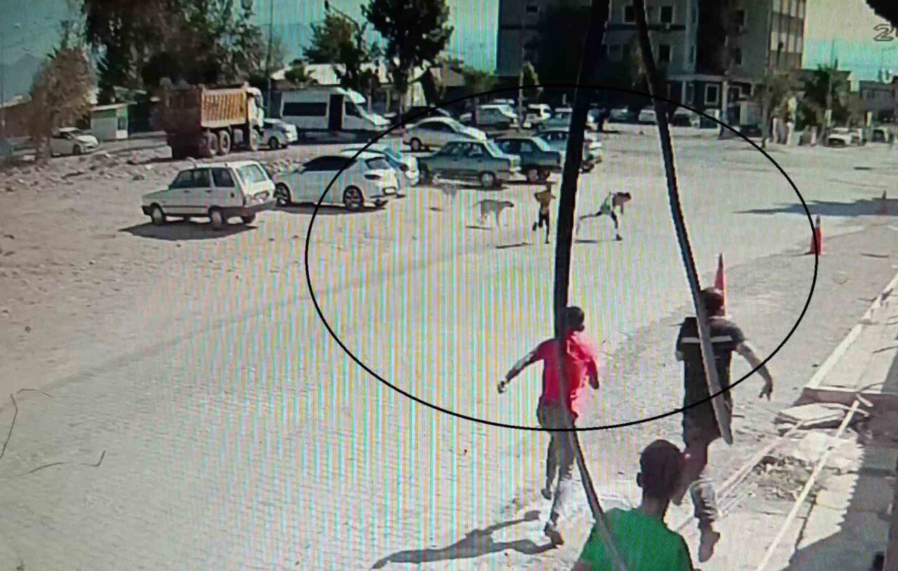 Hatay’ın Hassa ilçesinde sokak köpekleri, iki çocuğa saldırırken vatandaşlar yardıma