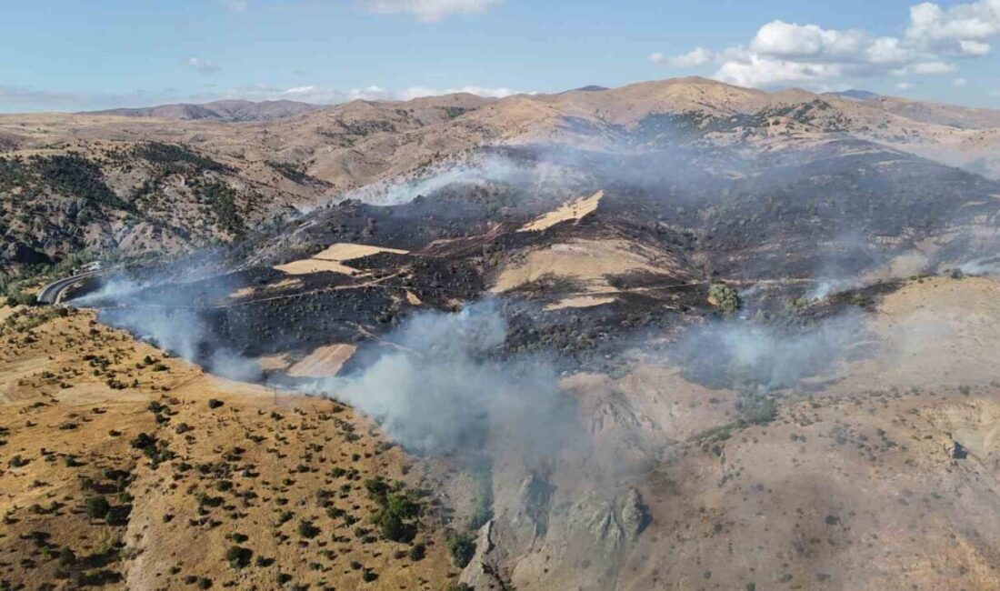 Sivas'ta makilik alanda başlayan yangın, hızlıca yayılıp çalılıkları etkisi altına